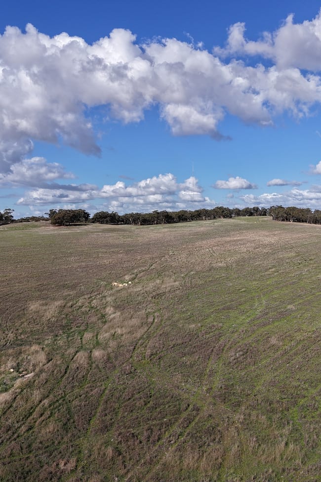 Lot 27 Spionkop Road Grass Valley WA 6403