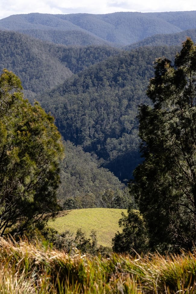 214 Eaglehawk Trail Yarrowitch NSW 2354