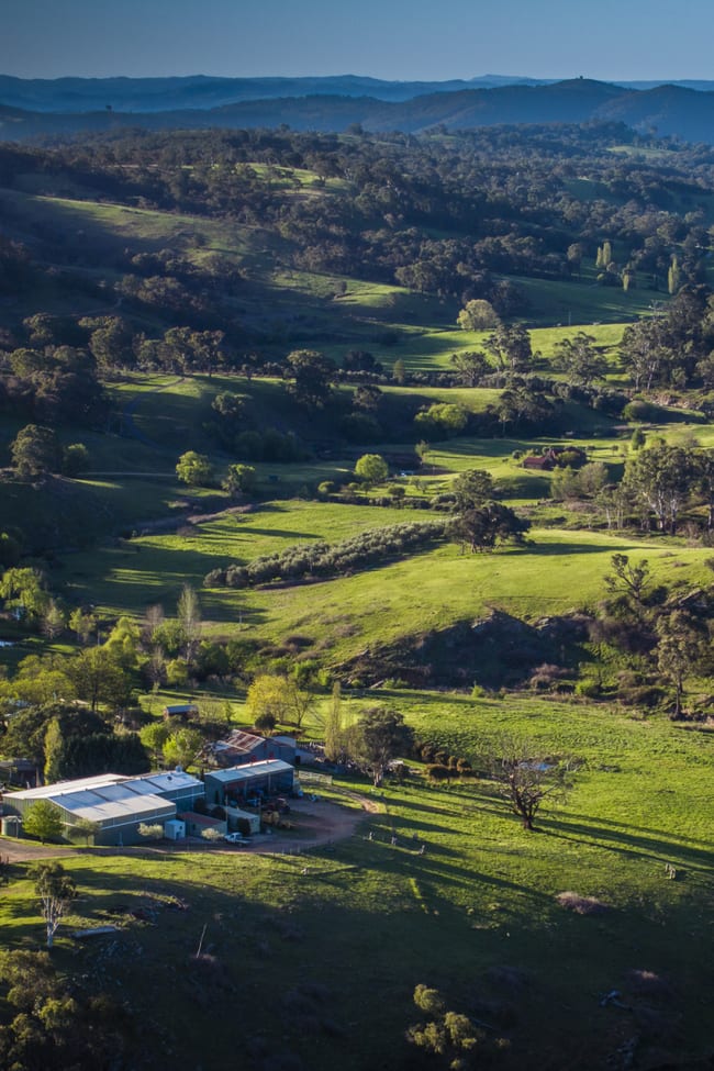 3326 Peelwood Rd Peelwood NSW 2583