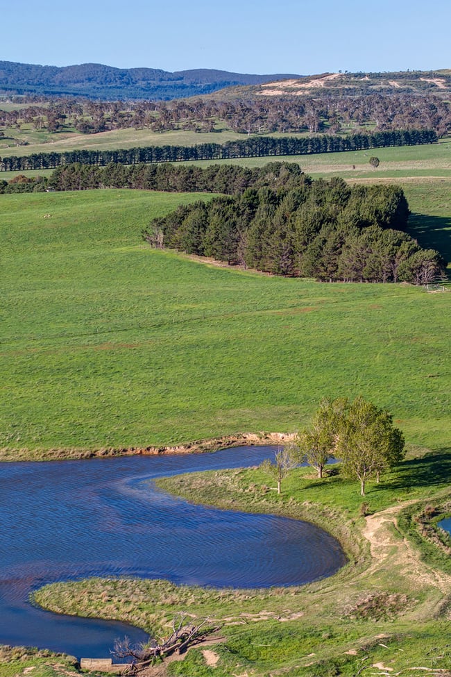 1120 Taylors Creek Road Tarago NSW 2580