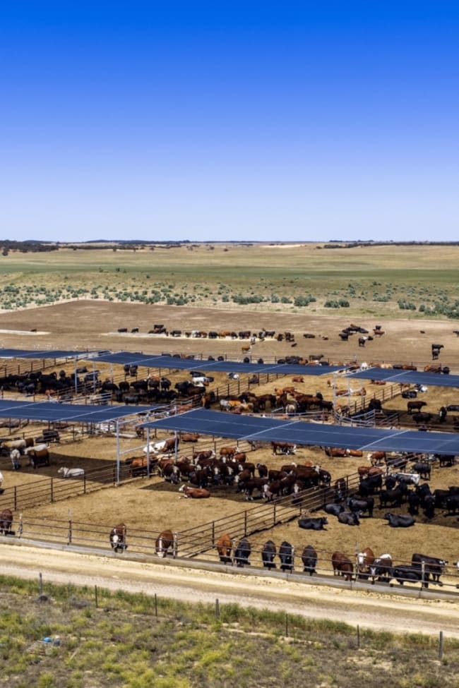 1156 Parrakie North Road Lameroo SA 5302