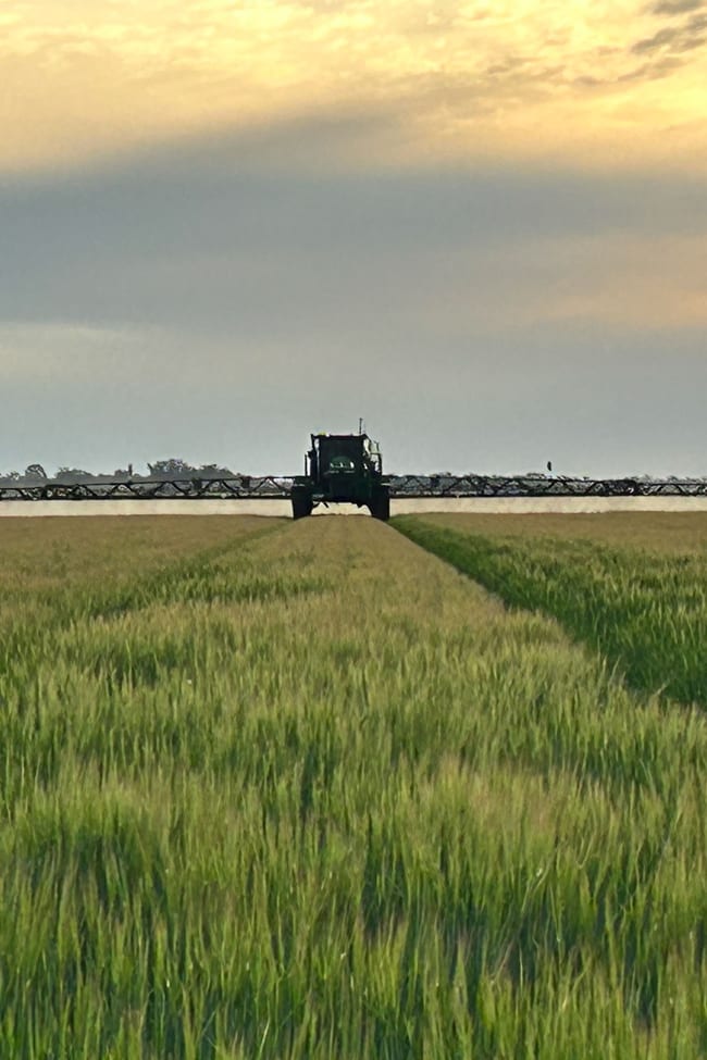 Jandowae QLD 4410