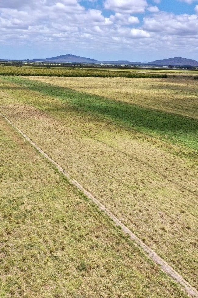 Horseshoe Lagoon QLD 4809
