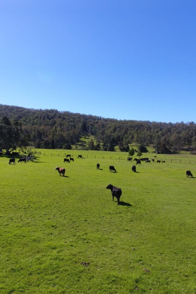 484 Pigman Rd Dyraaba NSW 2470 484 Pigman Rd Dyraaba NSW 2470