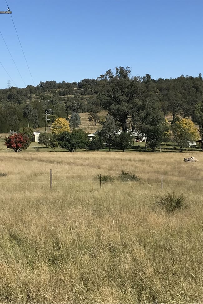 1311 Giants Creek Road Giants Creek NSW 2328