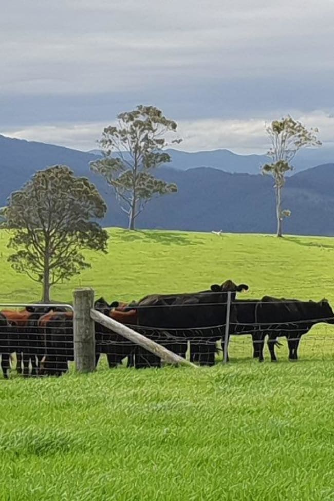 1420 Ebsworth Road Glen Martin NSW 2321