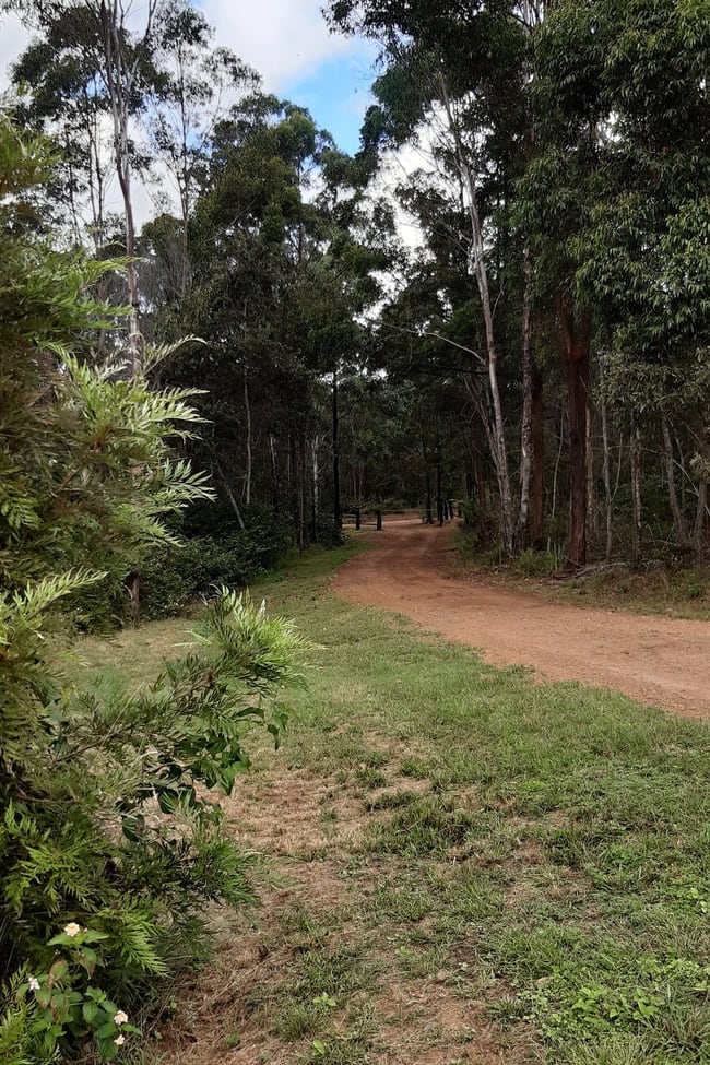 281 DYER ROAD Googa Creek QLD 4314