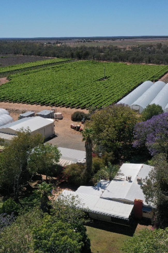 St George QLD 4487