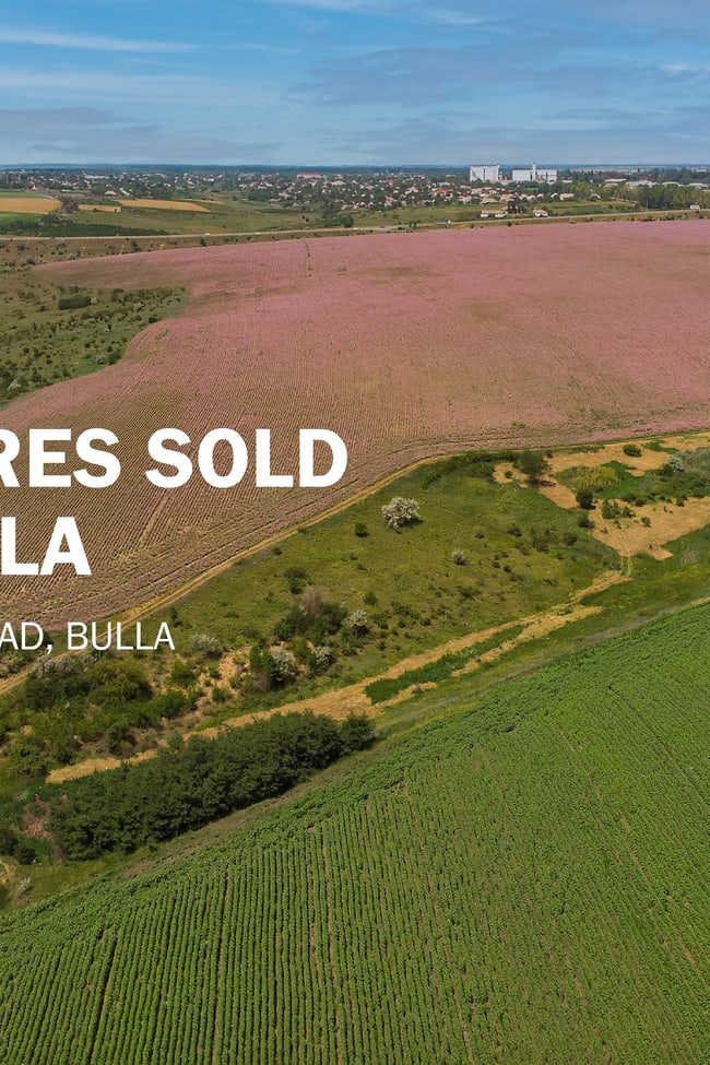 30 Gellies Road Bulla VIC 3428