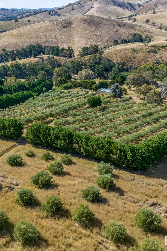 1302 Fish River Road Narrawa Via Crookwell NSW 2583