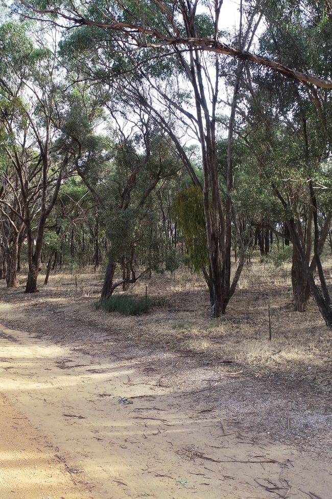 0 Carapooee Road St Arnaud East VIC 3477 0 Carapooee Road St Arnaud East VIC 3477