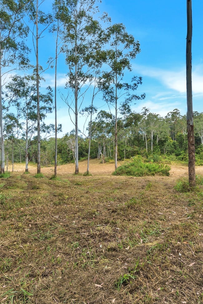59 Basin Road Brierfield NSW 2454