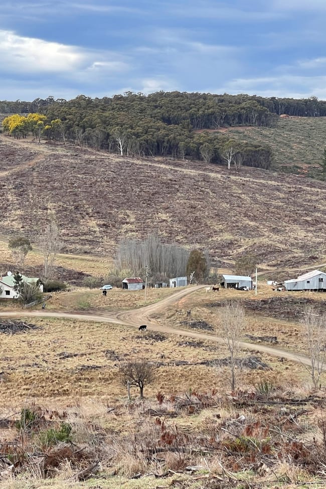 Craigie 1 Stewarts Road Delegate NSW 2633