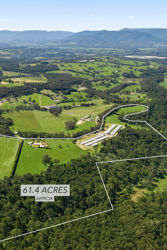 230 Holden Road Silvan VIC 3795