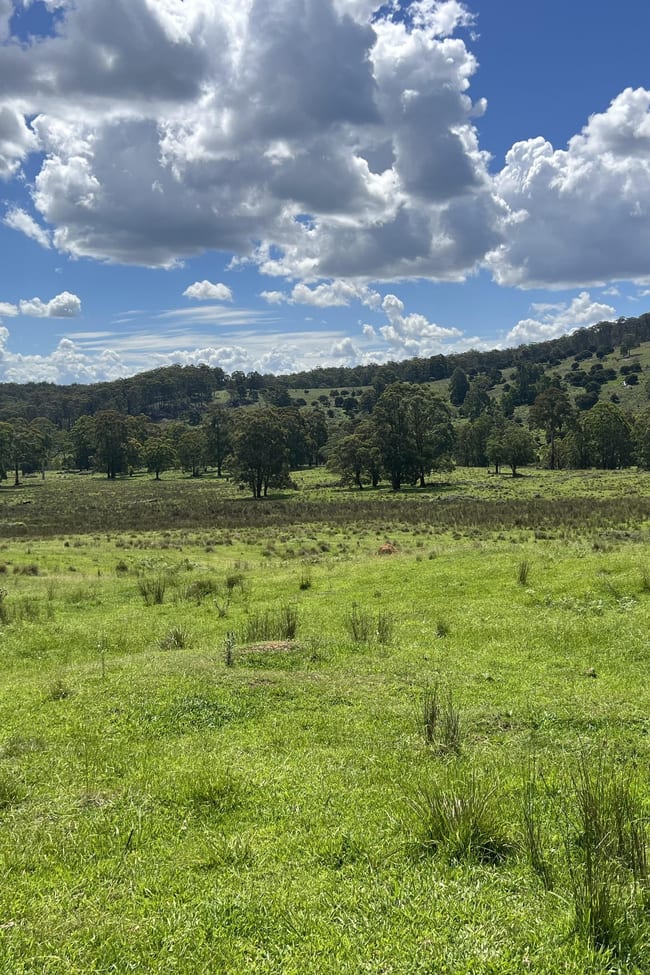 'Mt Clear'/* Morven Road Dundee NSW 2370