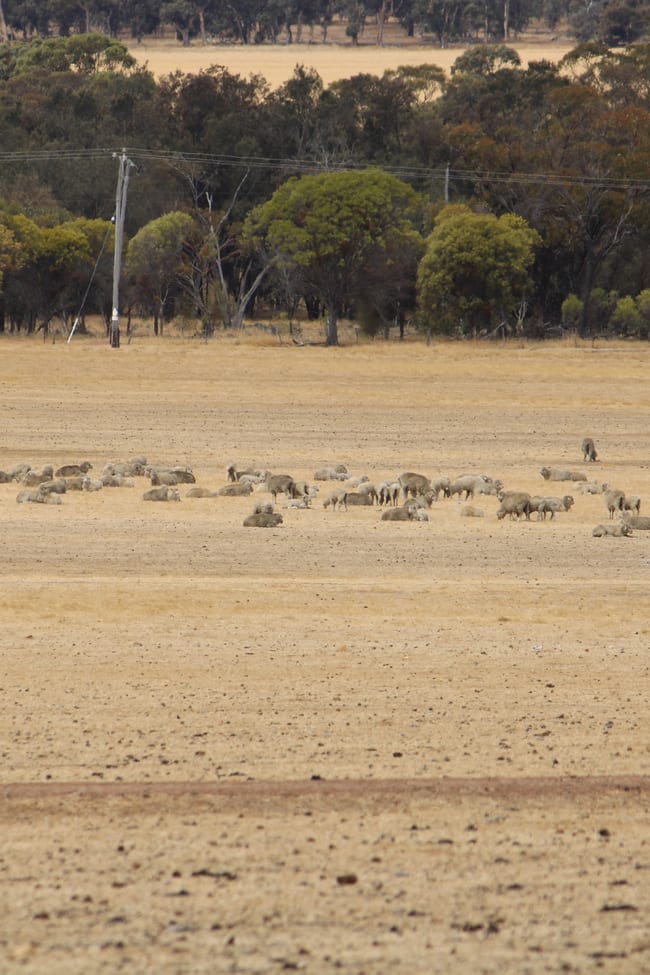 191 Great Southern Highway Woodanilling WA 6316