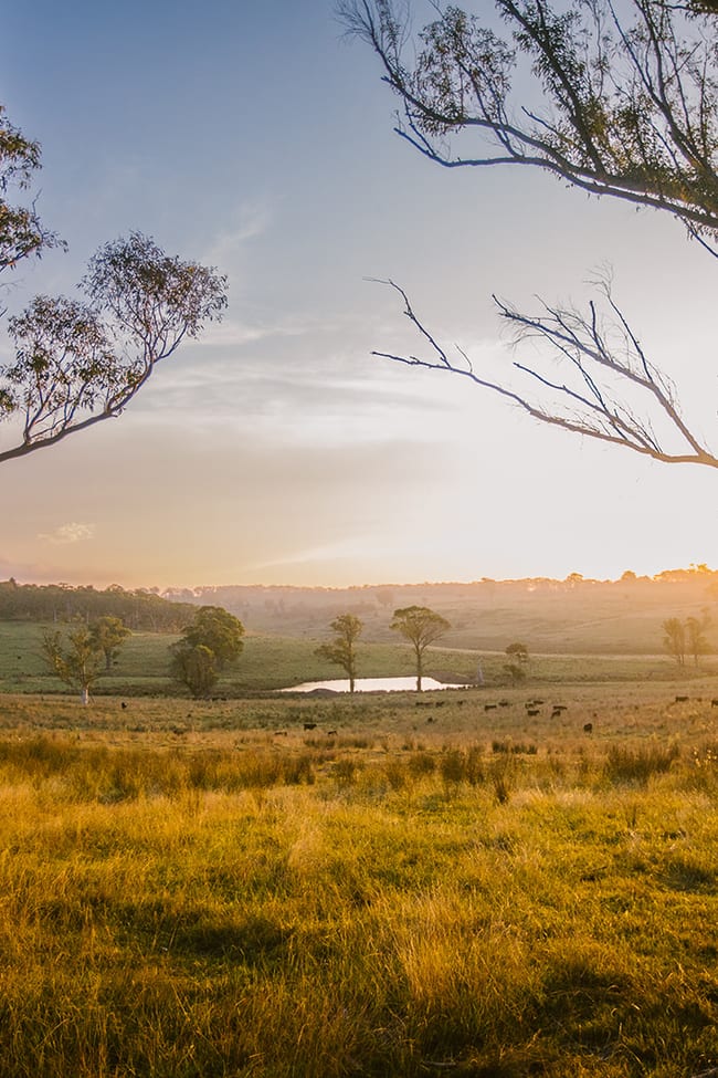 Wingello NSW 2579