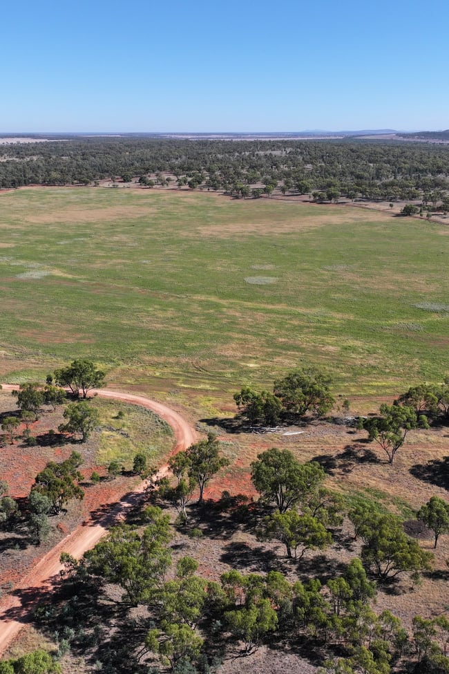 Back Hillston Road Tabbita NSW 2652