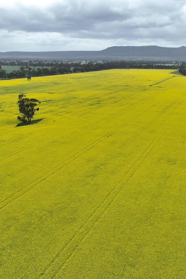 Lot 2/1878 Northern Grampians Road Laharum VIC 3401