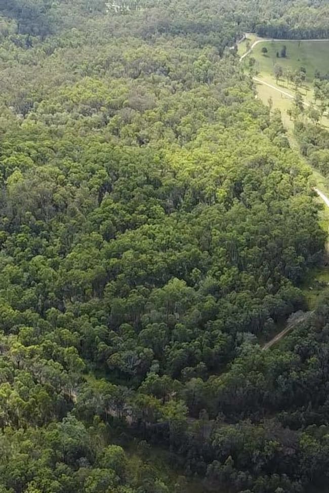247 Mungay Creek Rd Mungay Creek NSW 2440 247 Mungay Creek Rd Mungay Creek NSW 2440