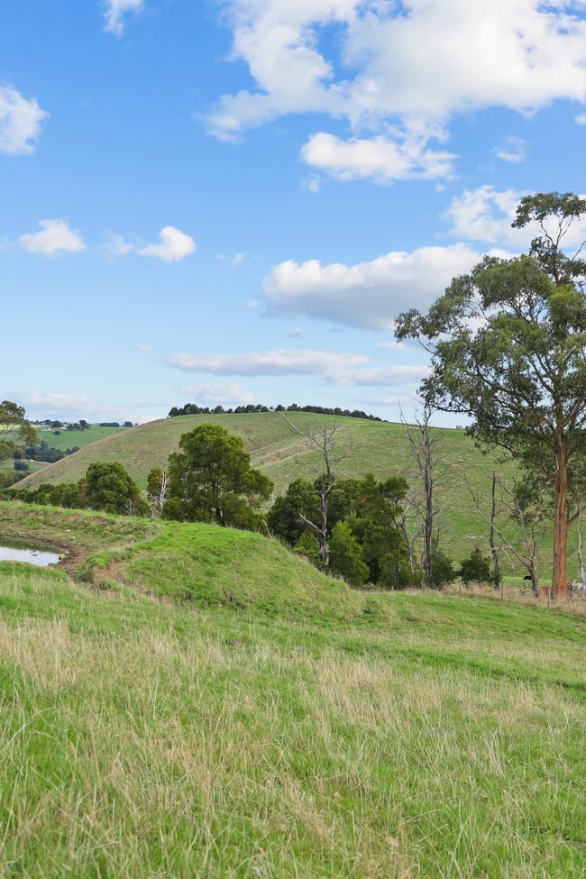 389 Andersons Inlet Road Bena VIC 3946