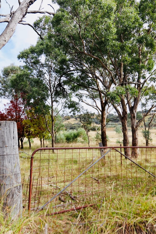 2081 Sofala Road Peel NSW 2795