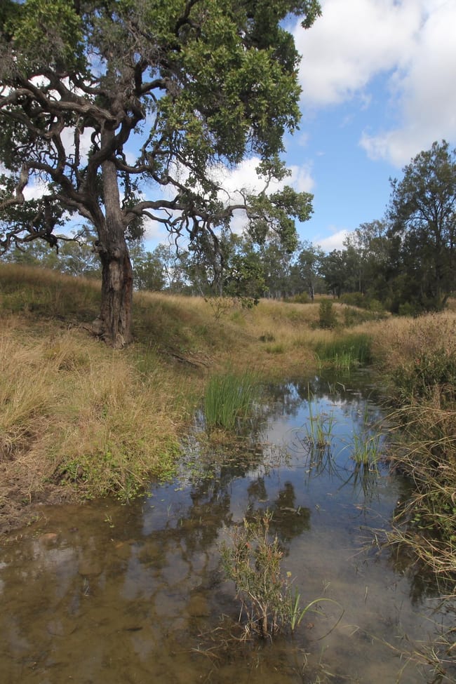 9434 Kilcoy Murgon road Barambah QLD 4601
