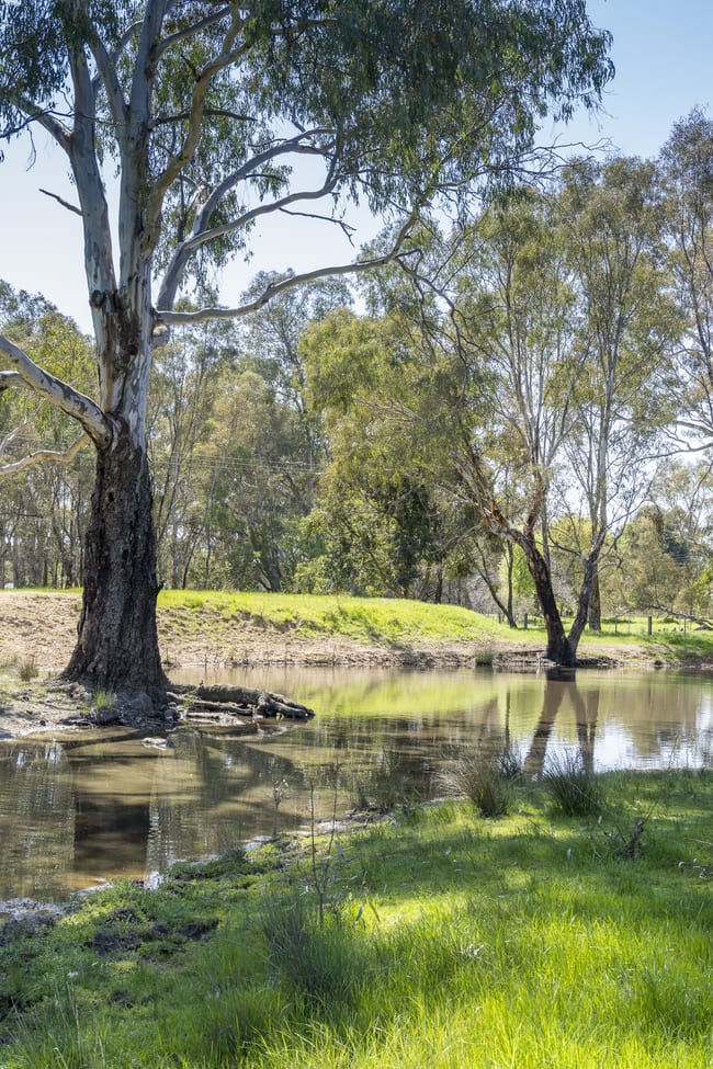 CA32 Baddaginnie-Benalla Road Benalla VIC 3672