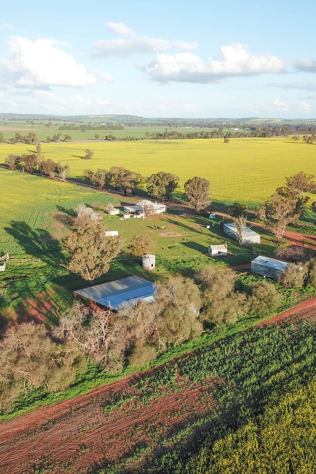 185 Marrar South Road Downside NSW 2650 185 Marrar South Road Downside NSW 2650