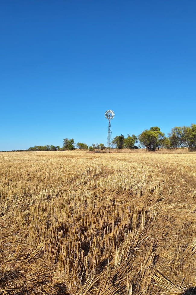 Lot 801 Carnamah - Perenjori Road Carnamah WA 6517