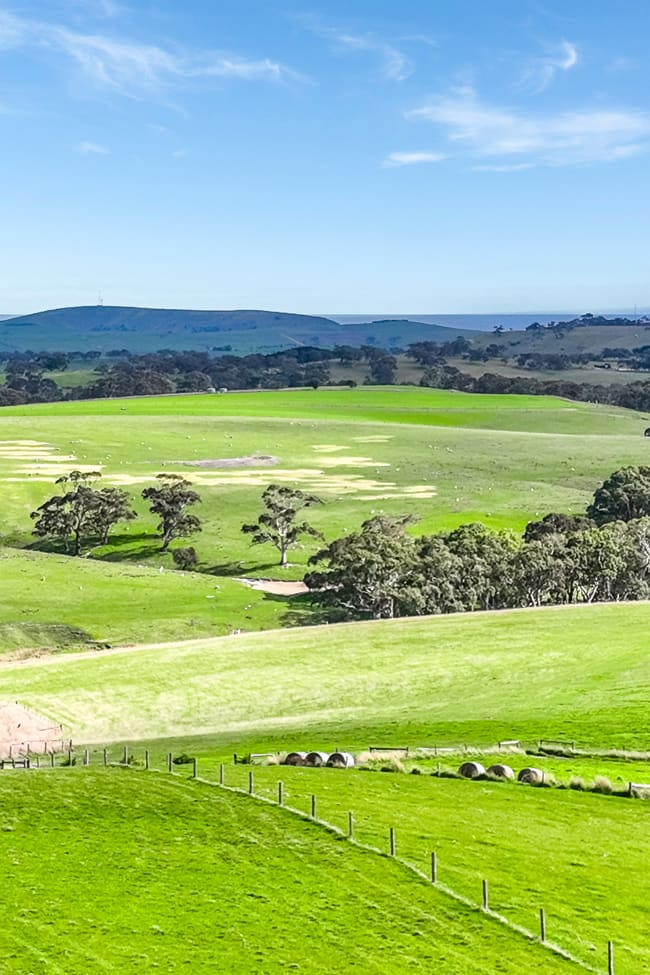 91 Coomooloo Road Inman Valley SA 5211