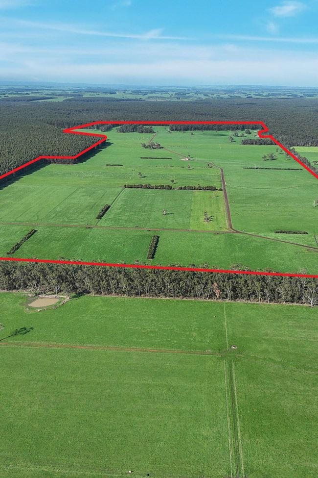 215 Horans Road Carpendeit VIC 3260