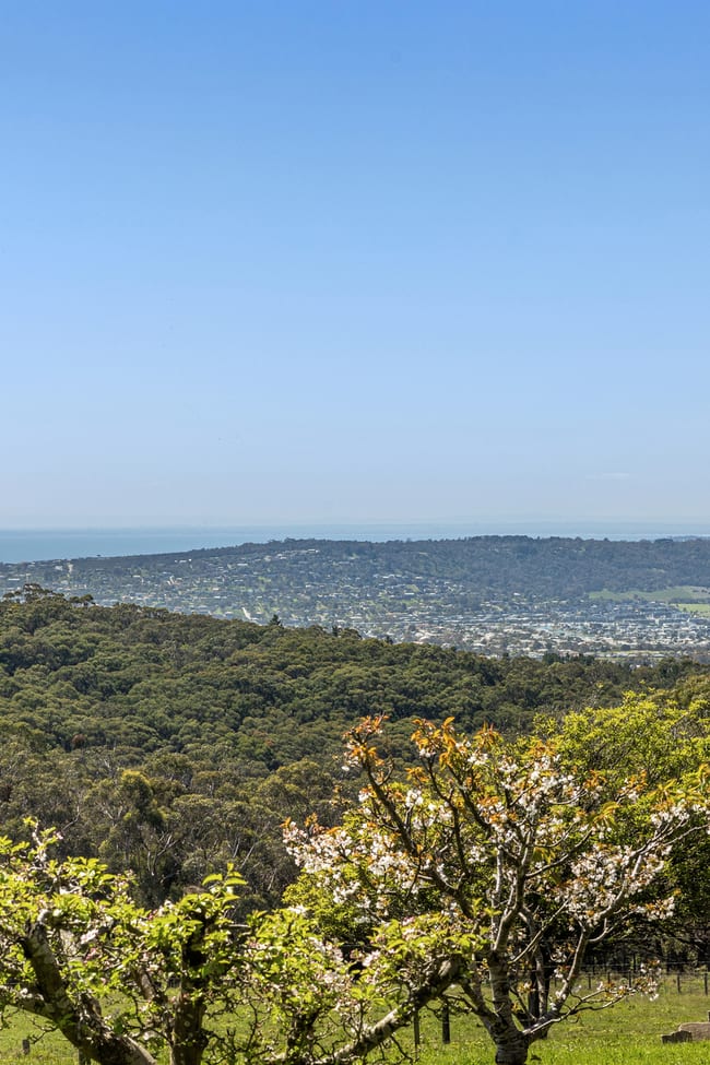470 Arthurs Seat Road Red Hill VIC 3937