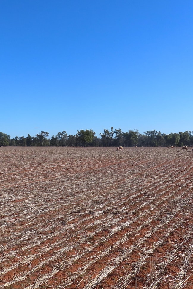 * KALLARA, 881 Kallara Road Hermidale NSW 2831