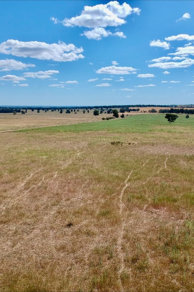1032 Manna Forest Rd Burcher NSW 2671 1032 Manna Forest Rd Burcher NSW 2671