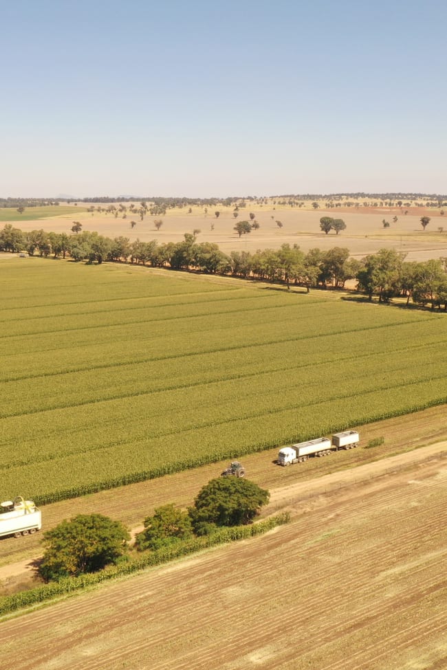 69 Ercildoune Lane South Forbes NSW 2871
