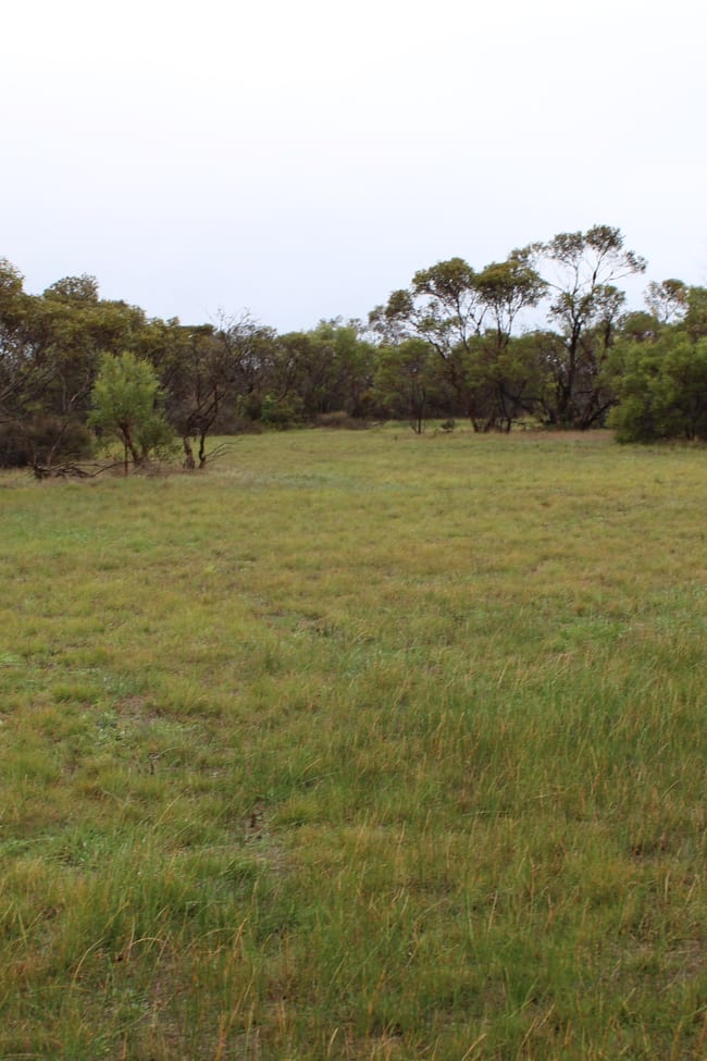 61 Blue Vista Hopetoun WA 6348