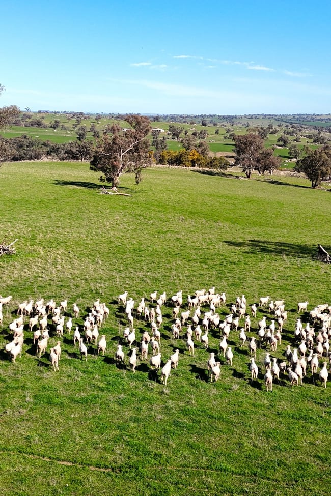 Woburn Road Harden NSW 2587