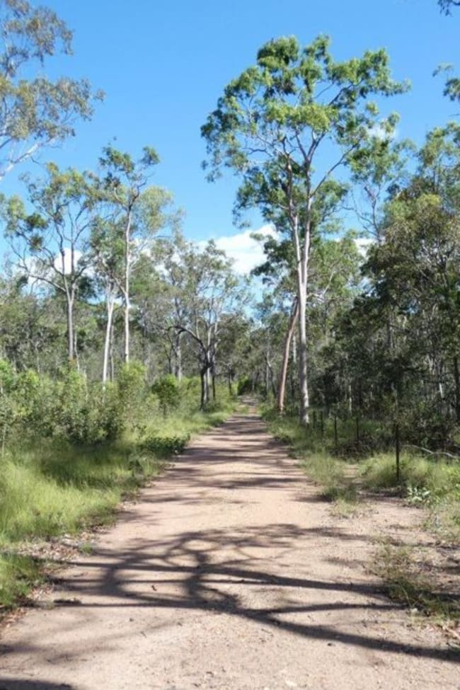 255 Mollenhagens Road Winfield QLD 4670