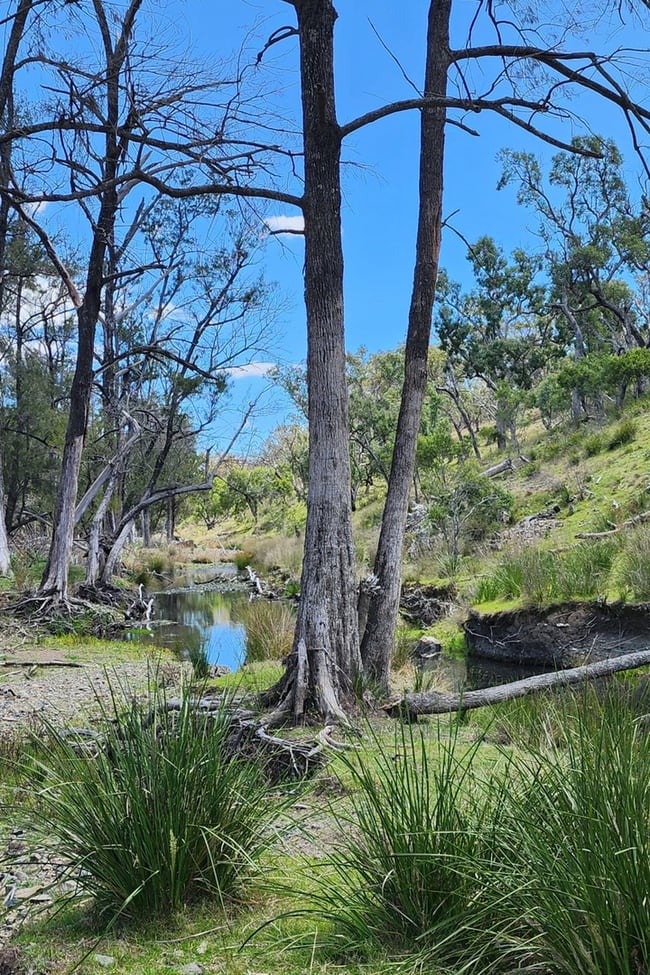 Lot 2 Stanthorpe Texas Road Stanthorpe QLD 4380 Lot 2 Stanthorpe Texas Road Stanthorpe QLD 4380