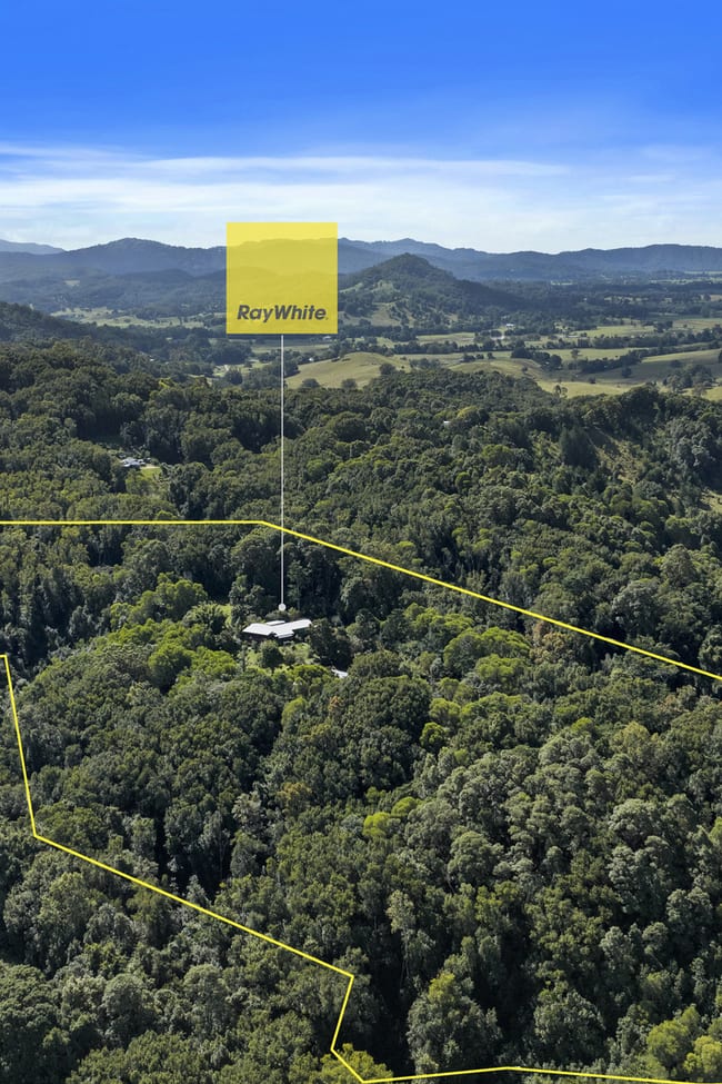 Eungella NSW 2484