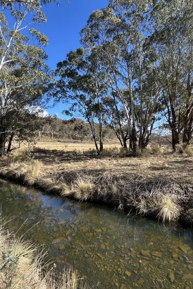 244, 7069 Sofala Rd Ilford NSW 2850