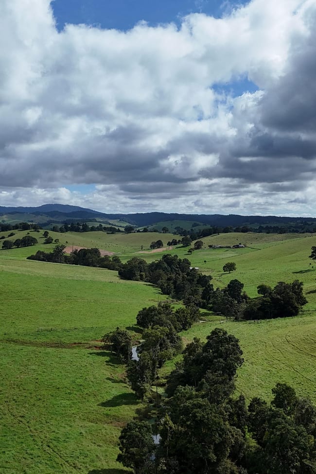 Tarzali QLD 4885