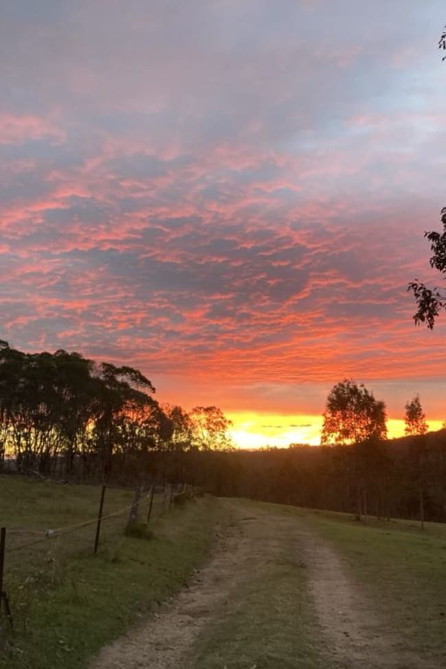 620 Tabulam Road Lower Bottle Creek NSW 2469