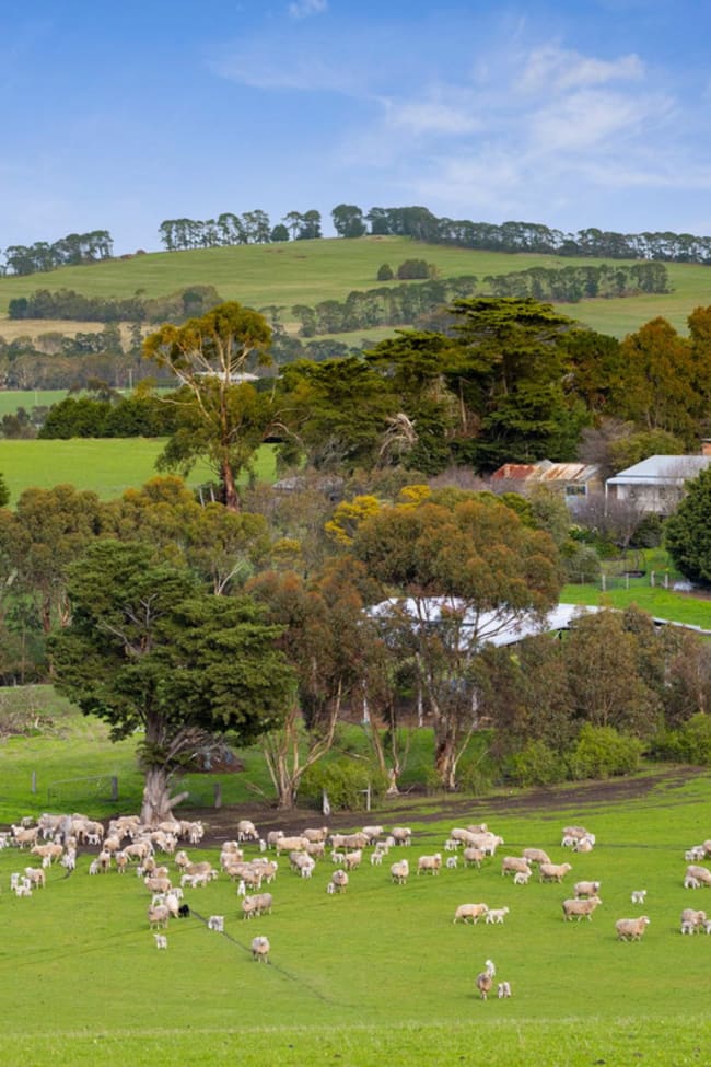 1285 Barrabool Road Gnarwarre VIC 3221
