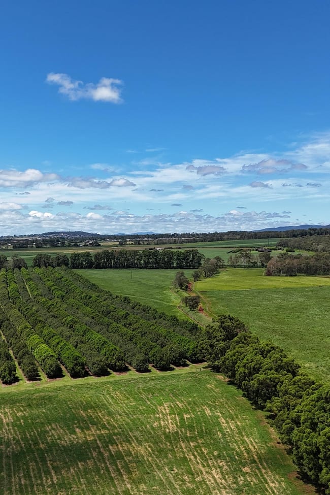 Banchio Road Tolga QLD 4882