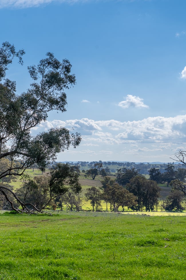 289 Paling Yards Loop Bowan Park NSW 2864