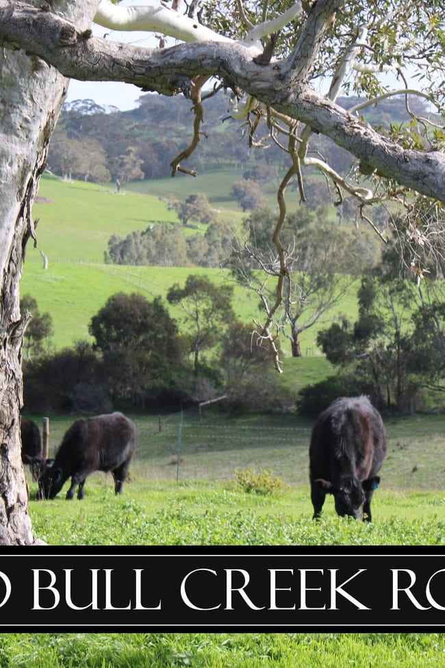 Lot 2 Old Bull Creek Rd Strathalbyn SA 5255