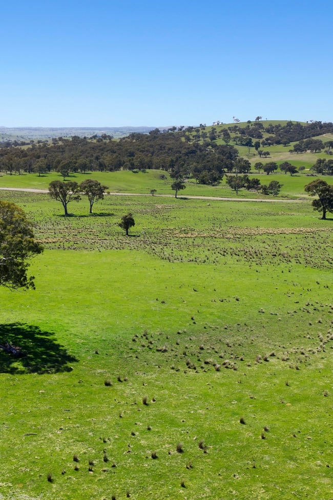 1663 Mountain Creek Road Mullion NSW 2582