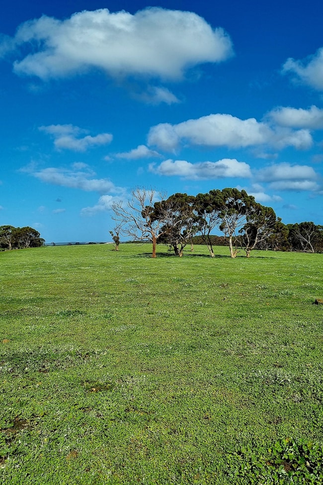 958 Crabbs Road Newland SA 5223